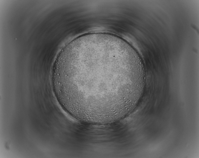 X0000098101429200804251354