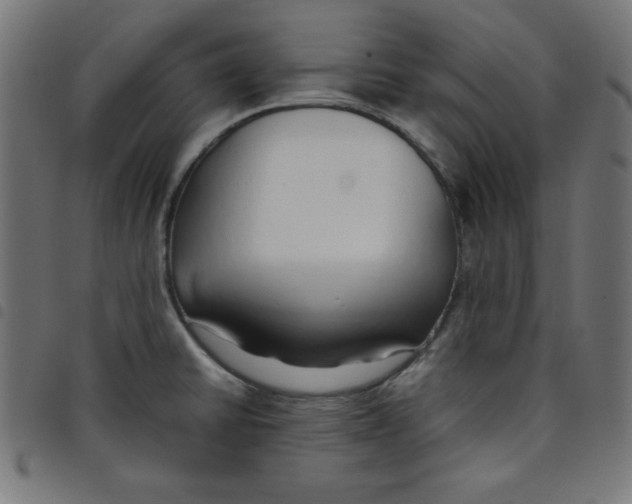 X0000098101430200804251354