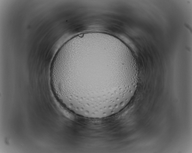 X0000098101431200804251354
