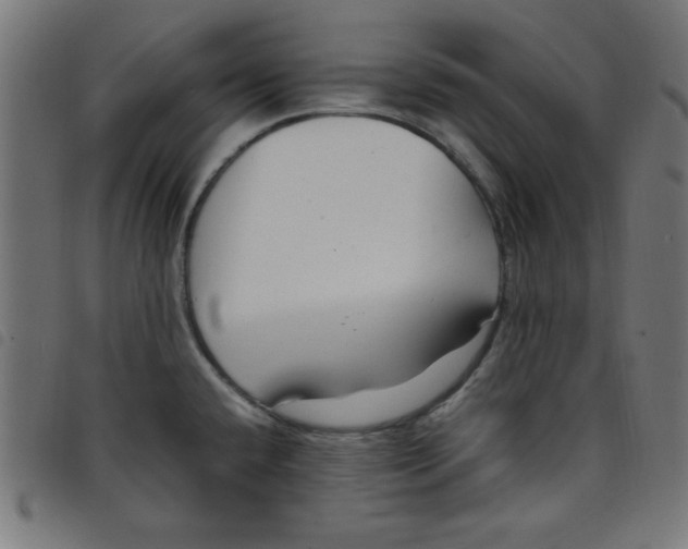 X0000098101432200804251354