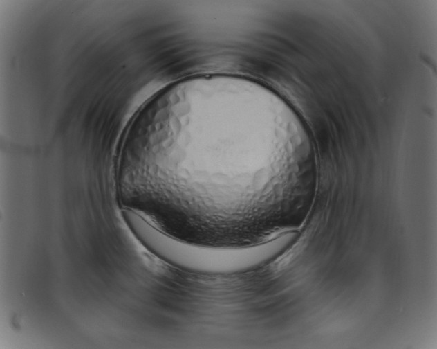 X0000098101434200804251354