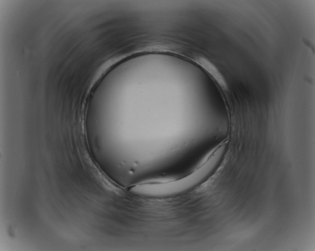 X0000098101436200804251354