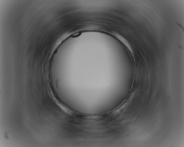 X0000098101437200804251354