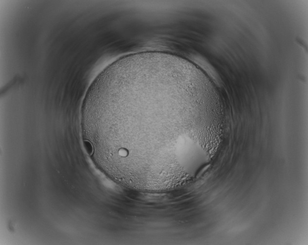 X0000098101439200804251354