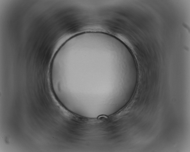 X0000098101440200804251354