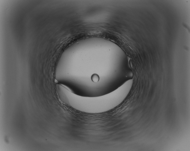 X0000098101441200804251353