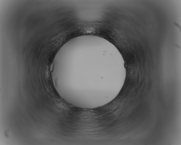 X0000098101442200804251353