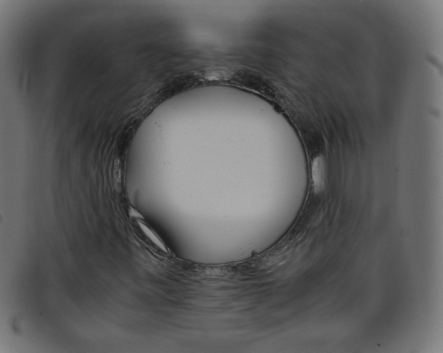 X0000098101443200804251353
