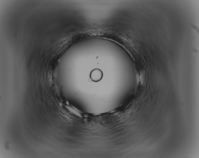 X0000098101444200804251353