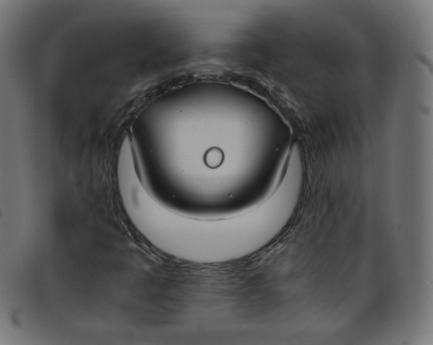 X0000098101445200804251353