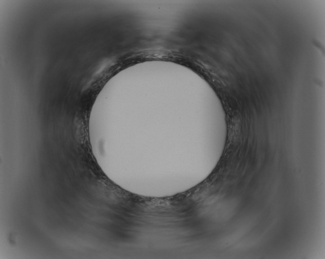 X0000098101446200804251353