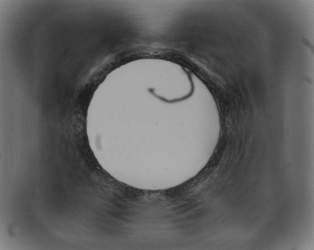 X0000098101447200804251353