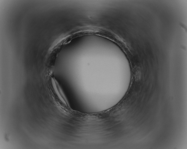 X0000098101448200804251353