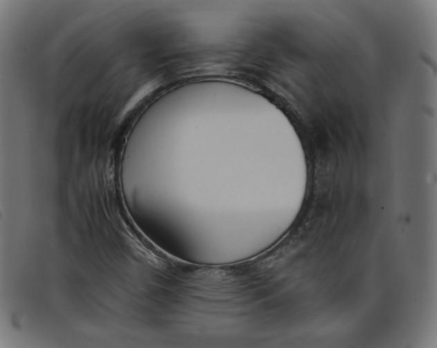 X0000098101450200804251353