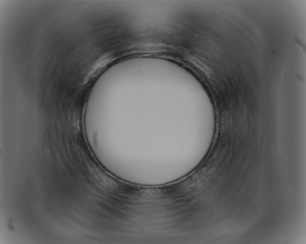 X0000098101451200804251353