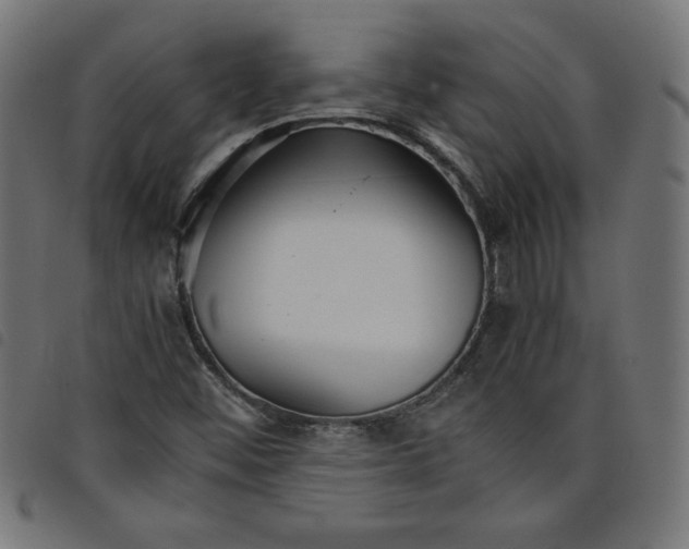 X0000098101452200804251353