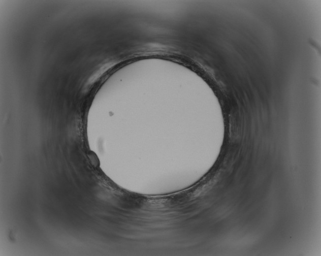 X0000098101453200804251353