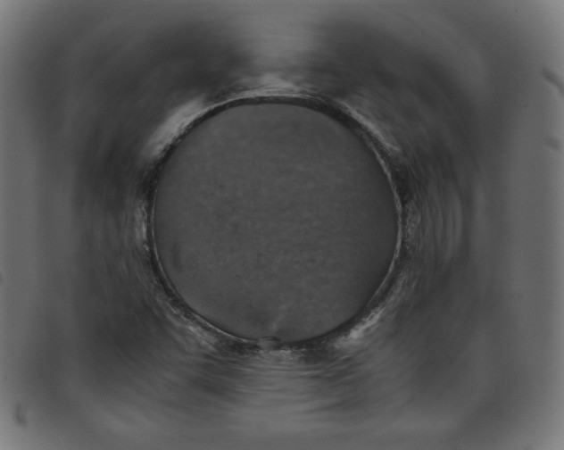X0000098101455200804251353