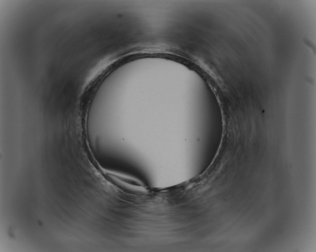 X0000098101456200804251353