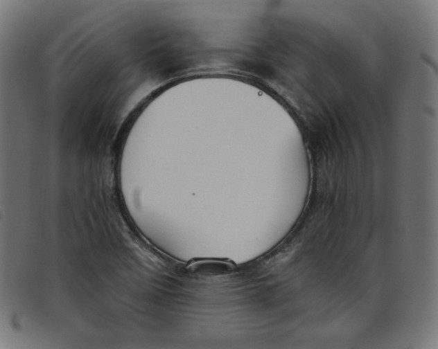 X0000098101458200804251353