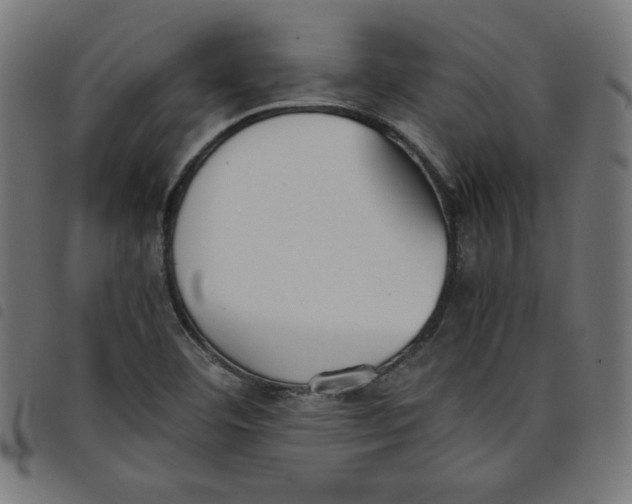 X0000098101460200804251353