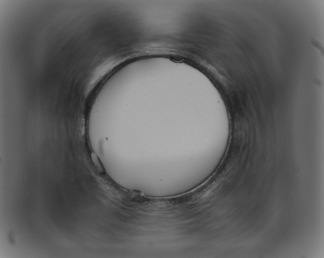 X0000098101461200804251353