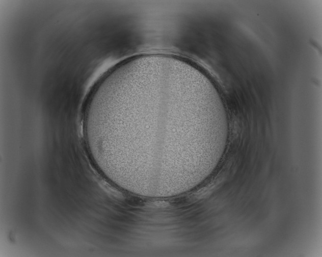 X0000098101462200804251353
