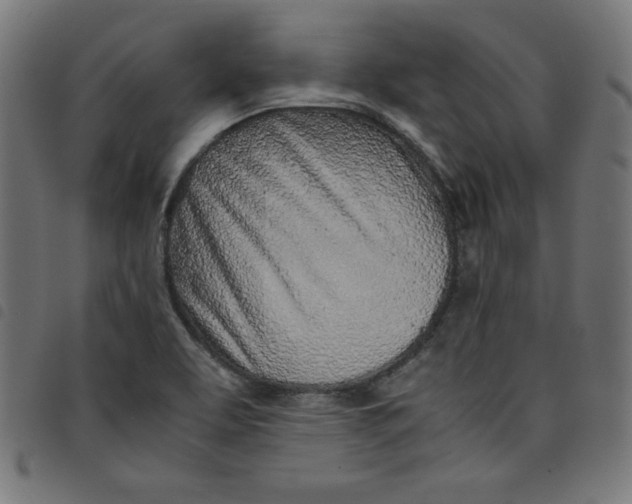 X0000098101463200804251353