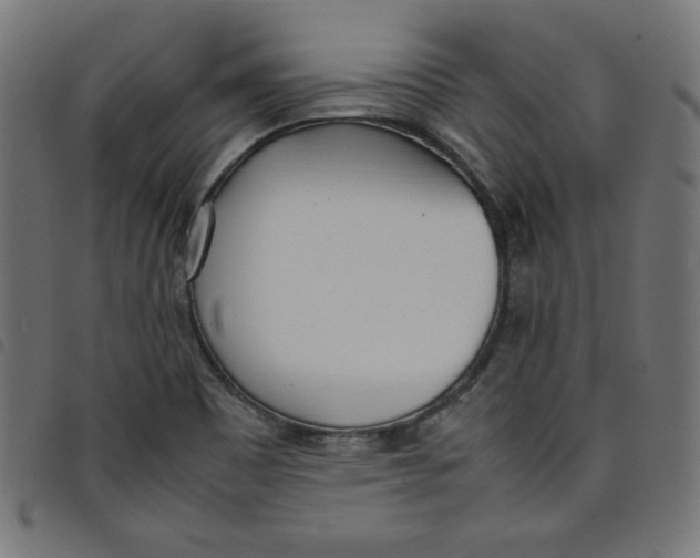X0000098101465200804251353