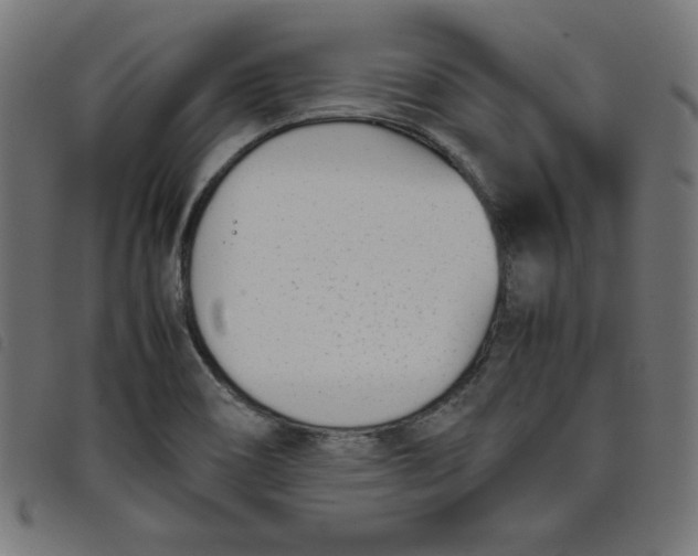 X0000098101466200804251353