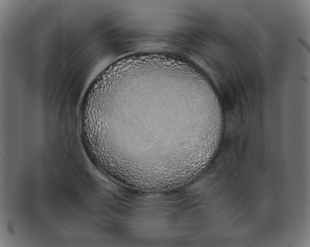 X0000098101467200804251353