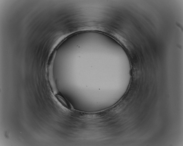 X0000098101468200804251353
