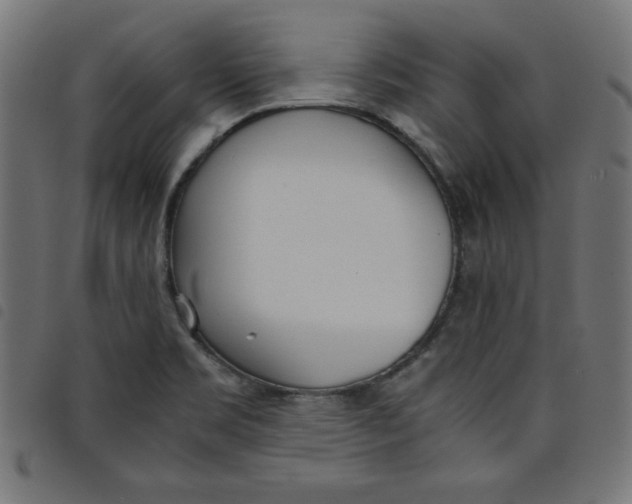 X0000098101469200804251353