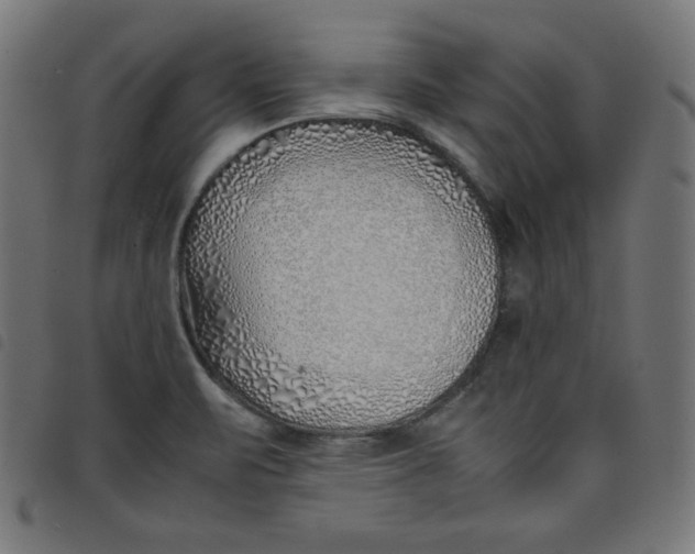 X0000098101471200804251353