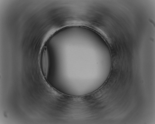 X0000098101472200804251353