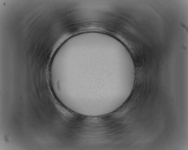 X0000098101474200804251353