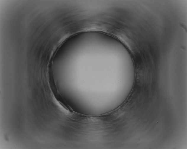 X0000098101476200804251353