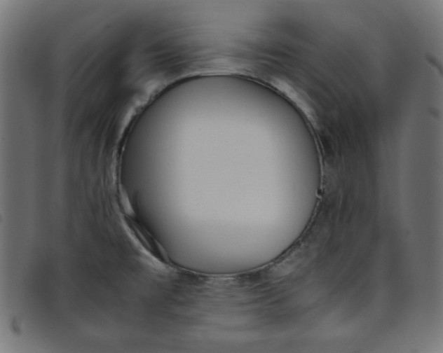 X0000098101477200804251353