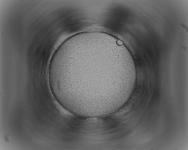X0000098101478200804251353