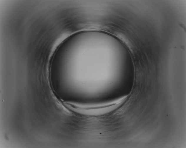 X0000098101480200804251353