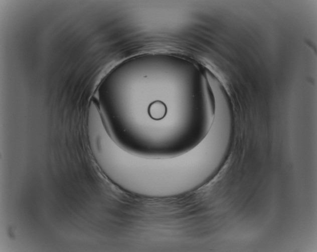 X0000098101481200804251353