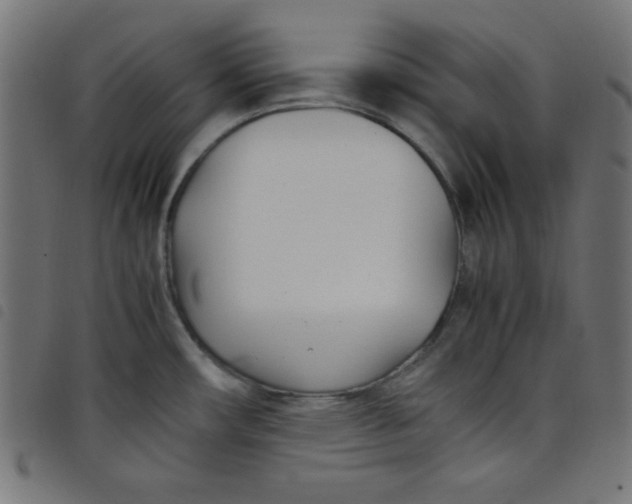 X0000098101482200804251353