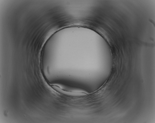 X0000098101483200804251353