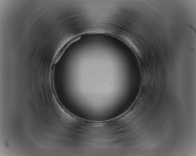 X0000098101484200804251353