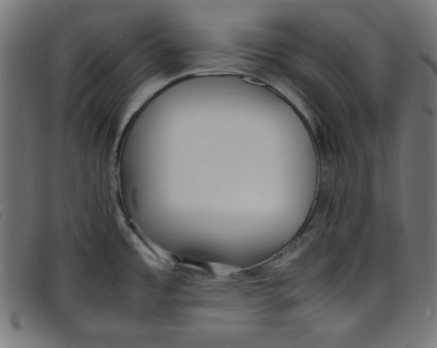 X0000098101485200804251353