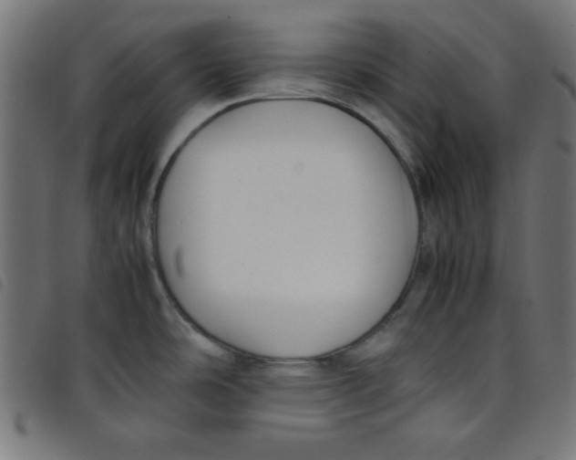 X0000098101486200804251353