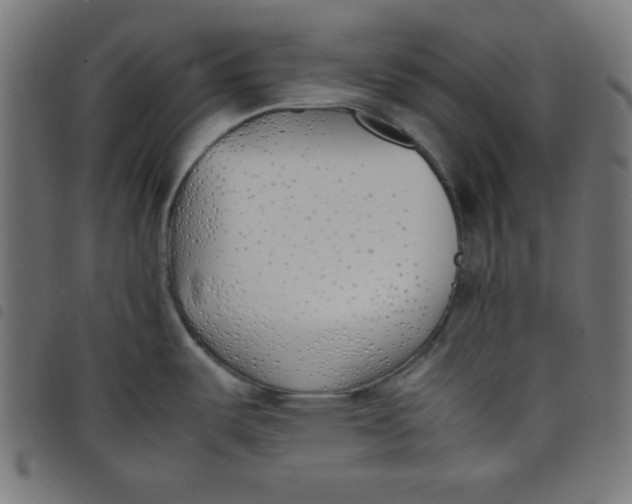 X0000098101487200804251353