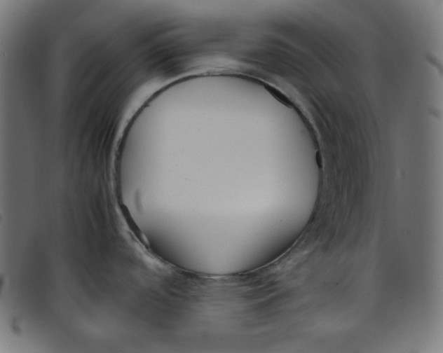 X0000098101488200804251353