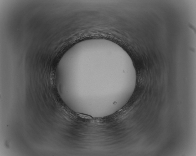 X0000098101490200804251352