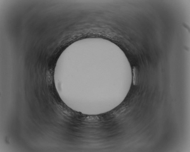 X0000098101491200804251352